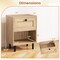 Rattan End Table Duo Nightstands with Storage Drawer and Shelf